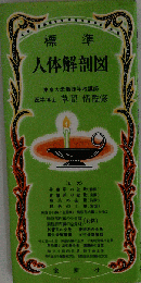 標準人体解剖図