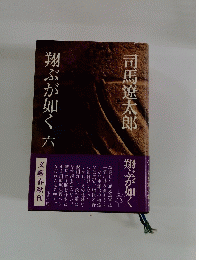 翔ぶが如く 6