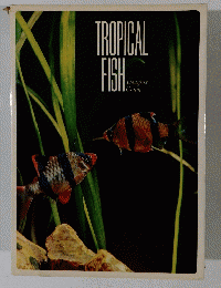 TROPICAL FISH　