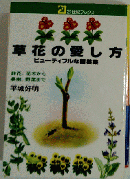 草花の愛し方