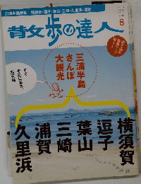 散歩の達人　２０１０年8月号　Vol. １７３