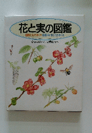 花と実の図鑑　2巻セット