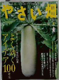やさい畑　２０１３年
