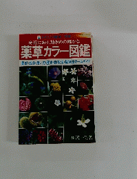 薬草カラー図鑑
