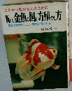 新しい金魚の飼い方殖やし方