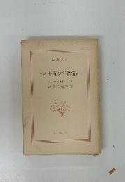 新譯　十五少年漂流記