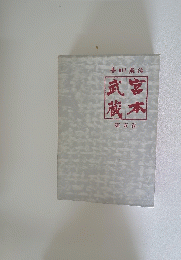 宮本武蔵5