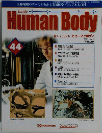 Human　Body　インサイド・ヒューマンボディ　2002年8/13号　44