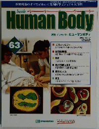 Human　Body　インサイド・ヒューマンボディ　63　2002年12/24号