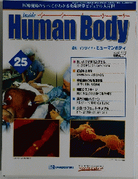 Human Body インサイド・ヒューマンボディ　25号　2002年4/2号