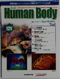 Human Body　インサイド・ヒューマンボディ　129号　2004年4/13号