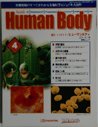Human　Body　インサイド・ヒューマンボディ　4号　2001年10/30号