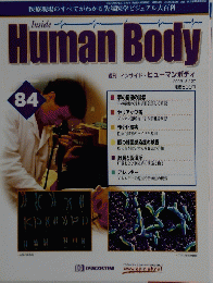 HumanBody　インサイド・ヒューマンボディ　84号　2003年5/27号
