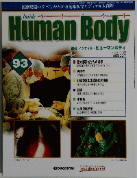 Human　Body　インサイド・ヒューマンボディ　93号　2003年7/29号