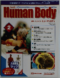週刊 インサイド・ヒューマンボディ　2号  2001年10/16号