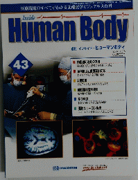 Human　Body　インサイド・ヒューマンボディ　43号　2002年8/6号