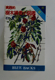 樹木橋索不図鑑