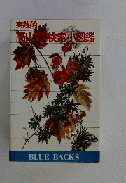 実践的 高検索小図鑑