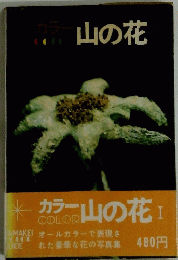 山の花