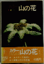 山の花