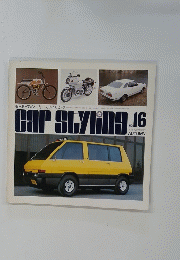 CAR STYLING 16