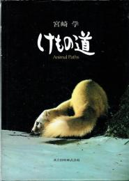 けもの道