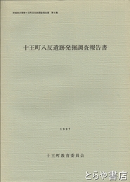 十王町八反遺跡発掘調査報告書