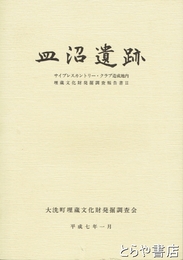 皿沼遺跡