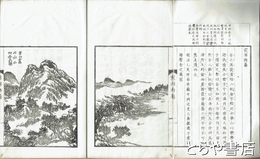 霞浦游藻