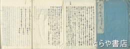 成憲摘要