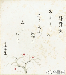 石川達三色紙　柿残果　「木よもりの　あきらめ難き　赤さかな」 柿の絵入