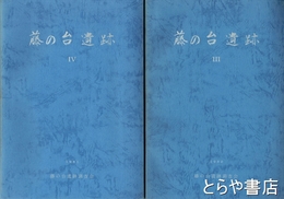 藤の台遺跡　Ⅰ・Ⅲ・Ⅳ
