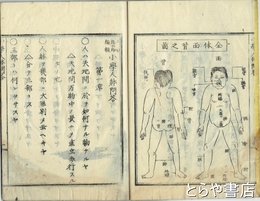 小学人体問答　生徒必携