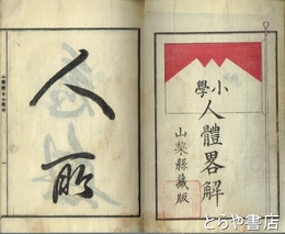小学人体略解　山梨県蔵版