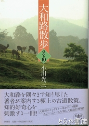 大和路散歩　ベスト１０　とんぼの本