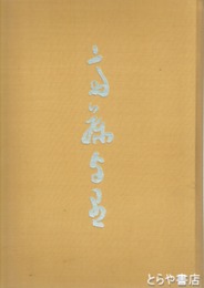 斎藤与里画集