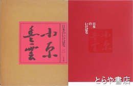 小原豊雲