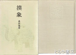 摸象