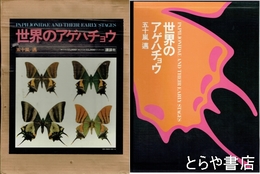 世界のアゲハチョウ　図版編・解説編