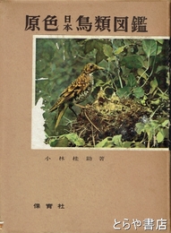 原色日本鳥類図鑑