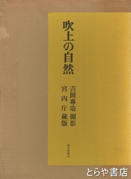吹上の自然