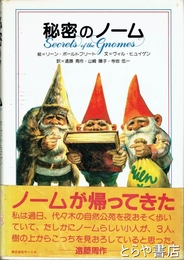 秘密のノーム