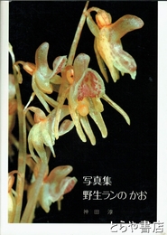 写真集野生ランのかお