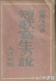 短歌写生の説