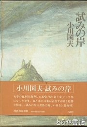 試みの岸