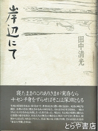 岸辺にて