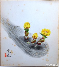 菅谷晴亮色紙　福寿草　共袋