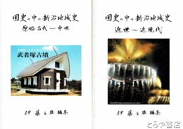 国史の中の新治地域史　原始・古代～中世　近世～近現代