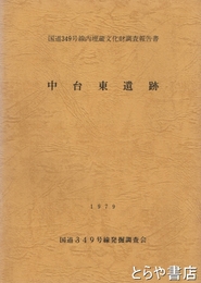 中台東遺跡