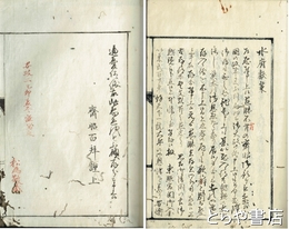水府公献策